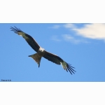 20220614 RM 05 1 DSC08470.jpg